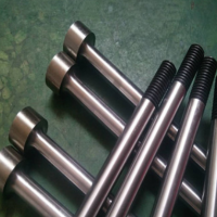 廠家專業生產非標精密模具配件300毫米帶牙型芯異型鑲件模具頂桿