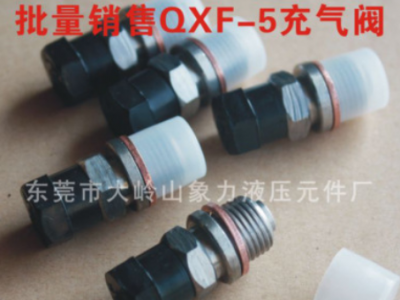 廠家直銷儲能器單向閥 剪板機蓄能器氮氣工具充氣閥 QXF5充氣嘴閥