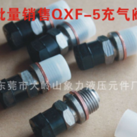 廠家直銷儲能器單向閥 剪板機蓄能器氮氣工具充氣閥 QXF5充氣嘴閥