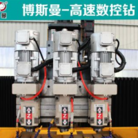 廠家直銷 小孔徑篩板自動鉆孔機(jī) 1500*2500多頭多孔數(shù)控鉆床