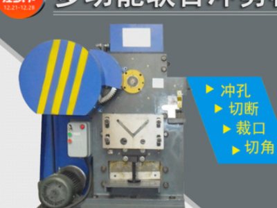 聯(lián)合剪切機(jī)多功能角鐵金屬建筑工地小型沖剪機(jī)切斷沖孔一體機(jī)直供
