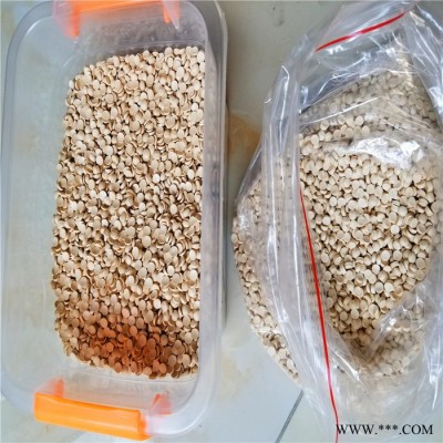 型材級  CPVC 美國普立萬  EE105   配件 工業應用