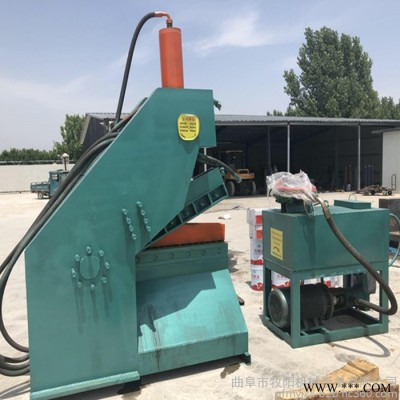 福建廢舊金屬液壓切斷機(jī) 鋁合金虎頭剪 廢鋼鋁型材剪切機(jī)