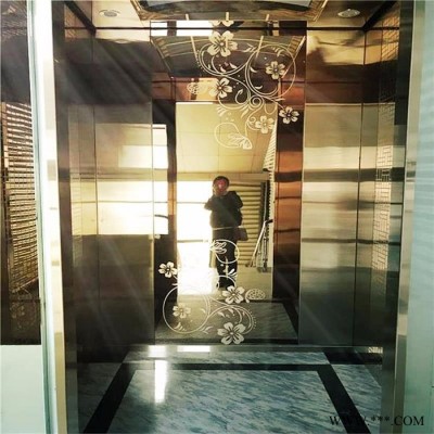 濟南快逸達 別墅電梯 曳引電梯鋁型材井道觀光電梯復式樓電梯