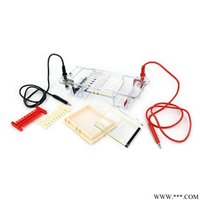 DYCP-31CN瓊脂糖水平電泳儀(槽)小號核酸電泳裝置