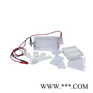 北京六一 瓊脂糖水平電泳槽DYCP-31DN 電泳儀 六一電泳儀