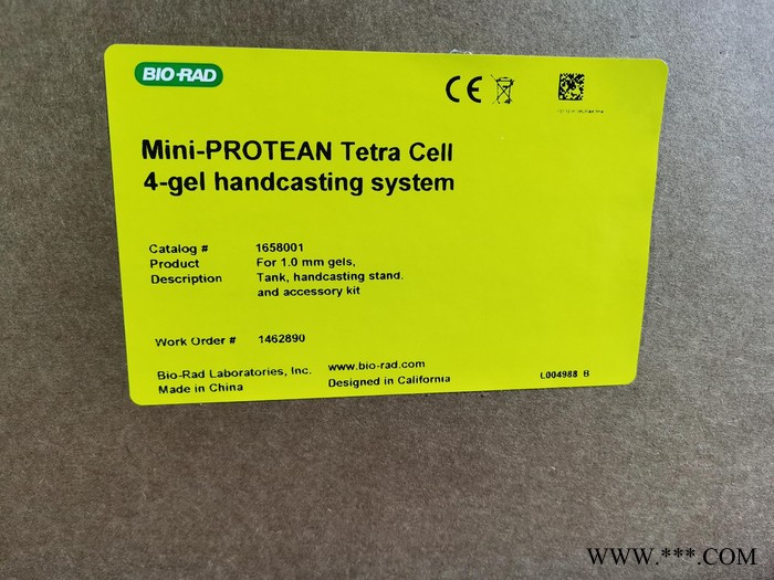Biorad/美國伯樂Mini-PROTEANTetra電泳槽（小型垂直電泳）165-8001 現貨