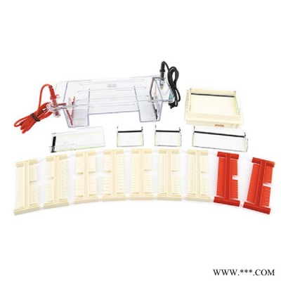 DYCP-31DN瓊脂糖水平電泳儀(槽)(小號)鑒定分離制備DNA