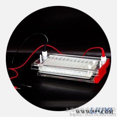 北京六一DYCP-44N快速凝膠電泳儀|凝膠電泳儀廠家|電泳儀品牌