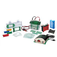 美國伯樂bio-rad1658033 垂直電泳套裝