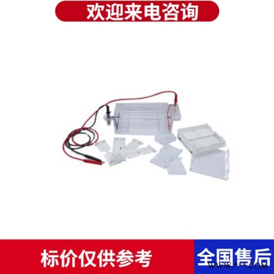 電泳儀 瓊脂糖水平電泳槽 六一DYCP-31DN