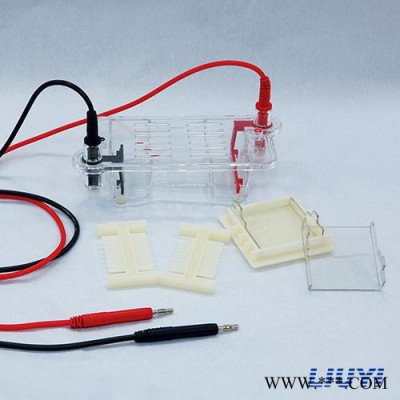 瓊脂糖水平電泳儀(槽)(微型) DYCP-31BN型 北京六一 用于核酸電泳