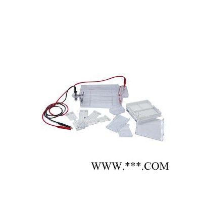 北京六一DYY-6D電腦三恒電泳儀電源 六一電泳儀