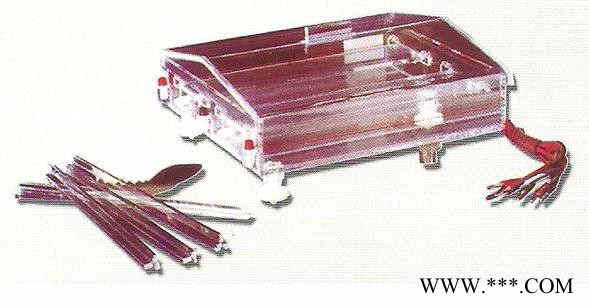 DYC型泳儀電泳槽