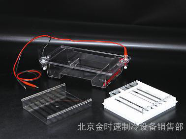 瓊脂糖水平電泳儀槽(中號) DYCP-31E型 橋式設計 節省緩沖液
