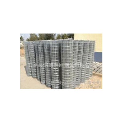 電鍍鋅電焊網,電焊網 電鍍鋅電焊網 現貨