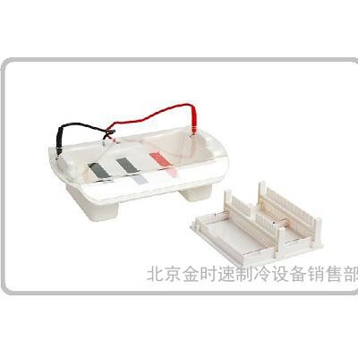 多功能水平電泳槽 HE-120全透明加厚設計 聚碳酸脂注塑成型無滲漏