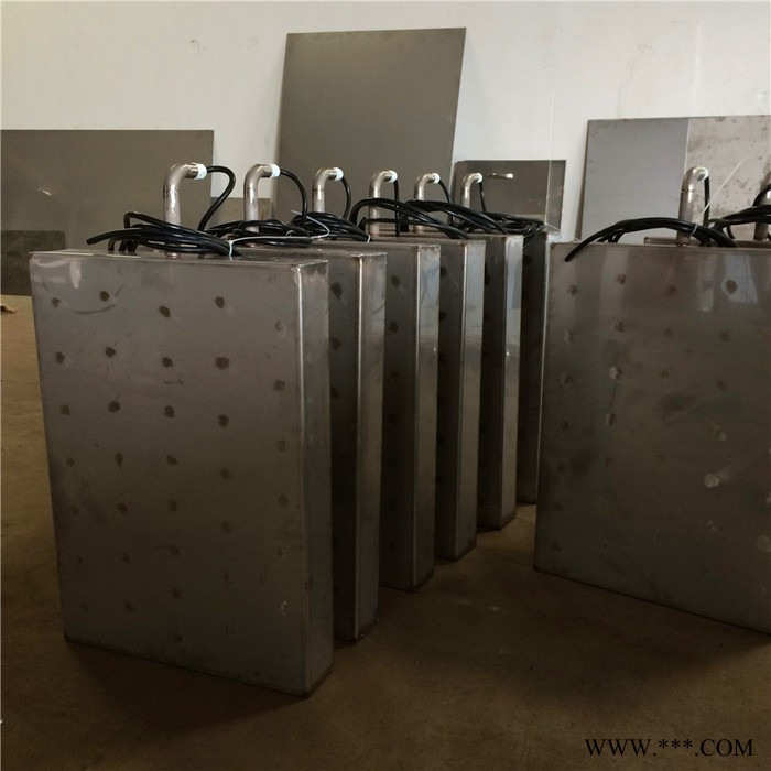 汽車行業用投入式超聲波震板 江門振板直銷 電鍍電泳涂裝表面處理用超聲波裝置