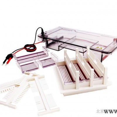 供應(yīng)君意JY-SPDT水平核酸電泳槽