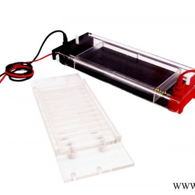 供應(yīng)君意JY-SP3水平核酸電泳槽