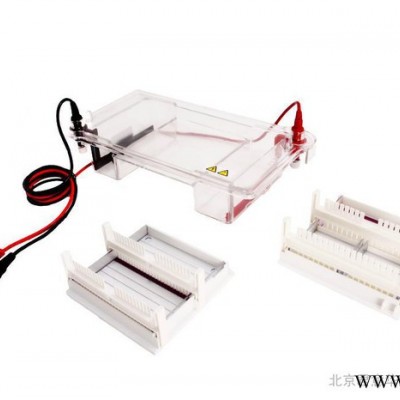 供應(yīng)君意JY-SPCT水平核酸電泳槽
