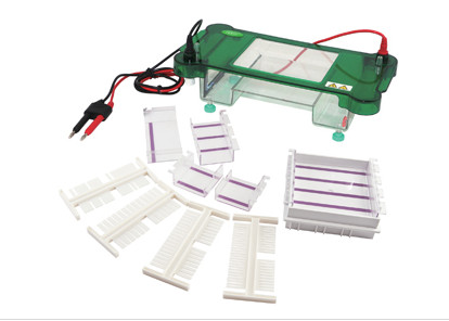 供應國產北京君意東方JY-SPBT型水平電泳槽