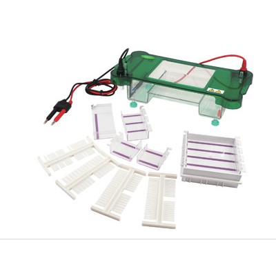 供應國產北京君意東方JY-SPBT型水平電泳槽