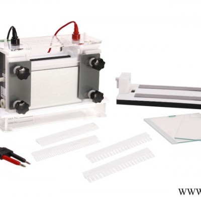 供應(yīng)君意JY-SCZ8垂直電泳槽