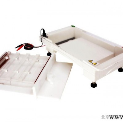供應(yīng)君意JY-SPE水平核酸電泳槽
