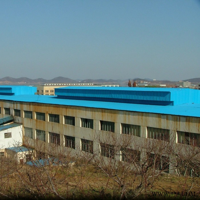 電鍍廠房防腐瓦 UPVC塑鋼瓦 鍍鋅廠塑料瓦 電鍍廠防腐板 外墻板 替代彩鋼板