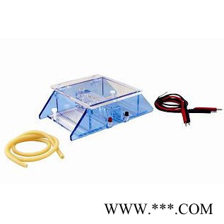 供應六一DNA洗脫電泳槽DYCP-43B