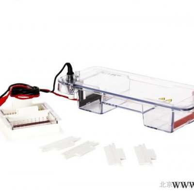 供應(yīng)君意JY-SPAT水平核酸電泳槽