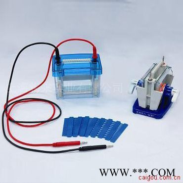 供應中科美菱DYCZ-24D迷你雙垂直電泳儀