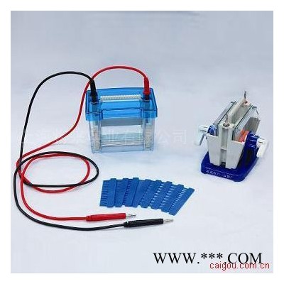 供應中科美菱DYCZ-24D迷你雙垂直電泳儀