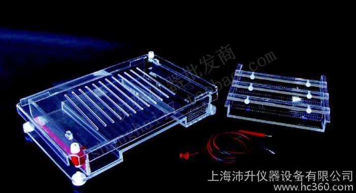 DYCP-31F瓊脂糖水平電泳儀（大）北京六一