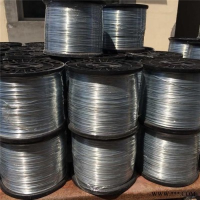 汪亞廠家供應 口罩鍍鋅絲    電鍍口罩絲    鼻梁條內芯鍍鋅絲  不銹鋼絲 鍍鋅絲