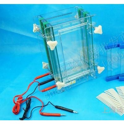 北京六一DYCZ-28BD夾芯式垂直電泳儀雙板夾芯式垂直電泳