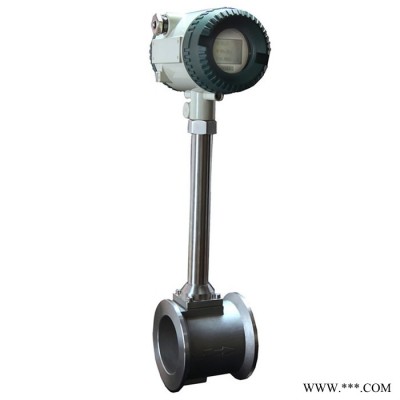 電磁流量計 泥漿電鍍廢水生活污水等導電液體測量