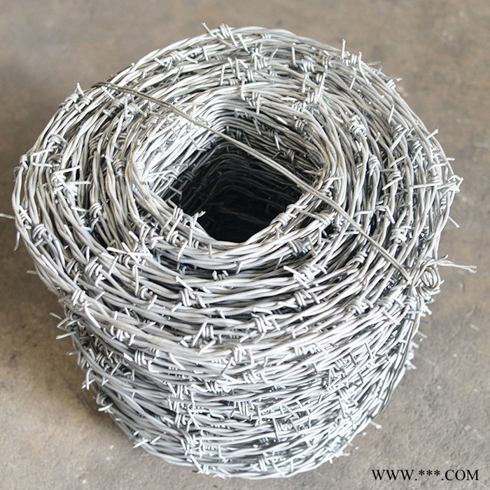 機場隔離柵 電鍍鋅刺繩 鐵路刺絲滾籠 彥峰 價格合理