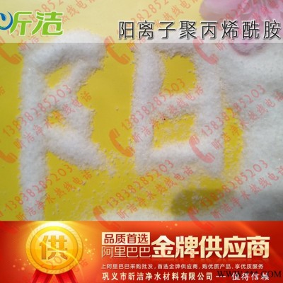 專業水處理藥劑生產廠家 高效 環保 用量少 污水凈水劑 陽離子型聚丙烯酰胺 CPAM凝膠電泳