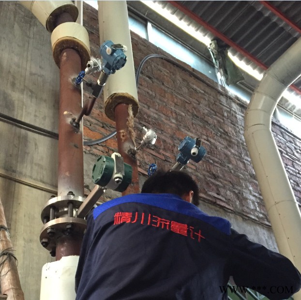 蒸汽渦街流量計 電鍍廠蒸汽渦街流量計 蒸汽渦街流量計生產廠家