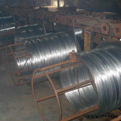 退火絲     電鍍鋅絲    鍍鋅鐵絲