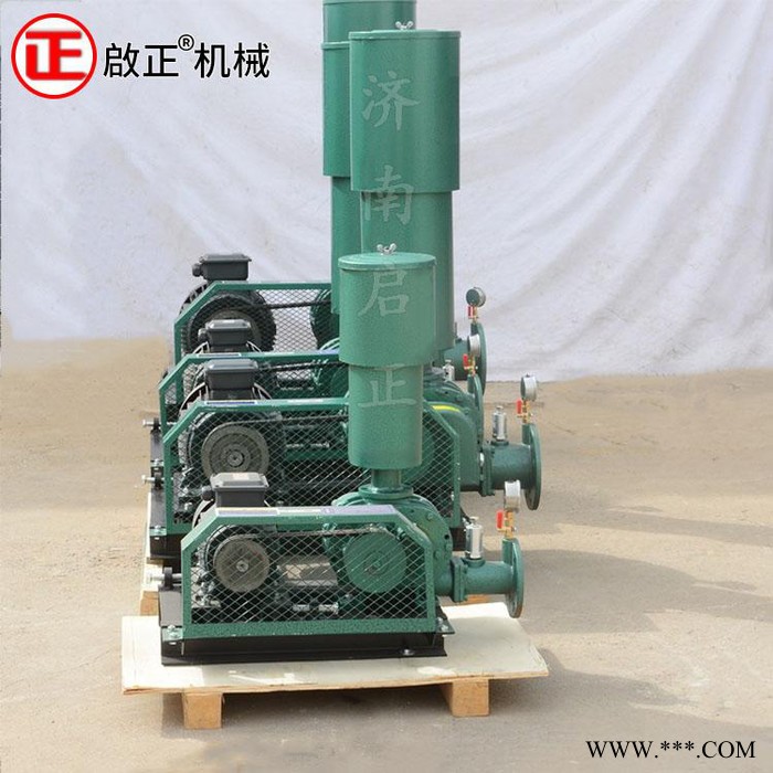 啟正CCR100 三葉羅茨式風(fēng)機(jī) 電鍍行業(yè)用 節(jié)能省電的