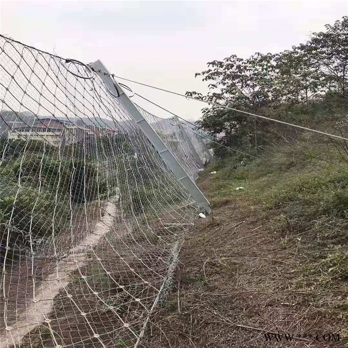 邊坡金屬護坡網(wǎng)  電鍍鋅鈦克網(wǎng)  滑坡治理專用網(wǎng) 批發(fā)現(xiàn)貨 繼乾