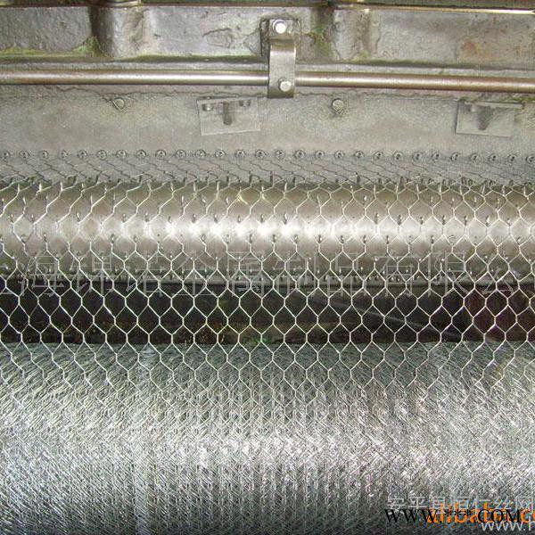 恒仁 溫州電鍍鋅石籠網 臺州冷鍍鋅石籠網  **