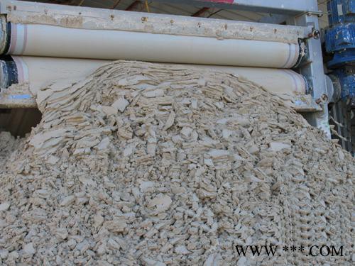 污泥烘干機 工業污泥電鍍污泥烘干機-專業烘干機制造 節能高達70%的烘干設備