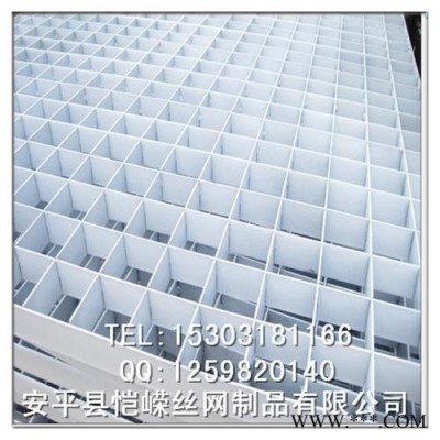 加工定制不銹鋼鋼格板生產(chǎn) 地下室熱鍍水溝蓋板 電鍍廠鋼格柵