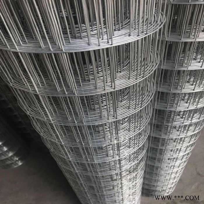 宏樂 安平改拔絲電焊網 電鍍鋅焊接網 冷鍍鋅電焊鐵絲網**價廉