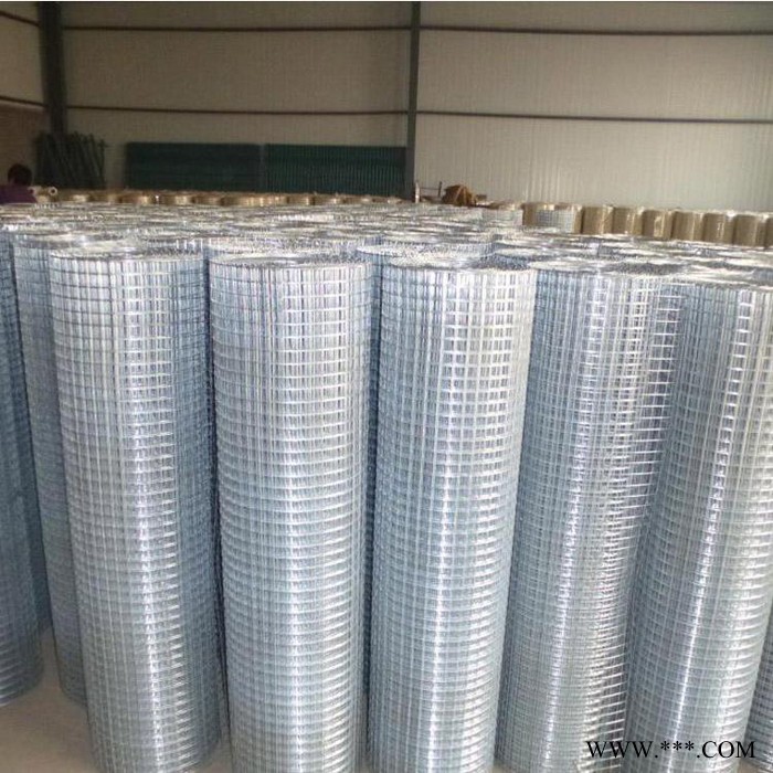 宏樂 廠家現貨供應改拔絲電焊網 電鍍鋅電焊網 建筑防裂保溫鋼絲網