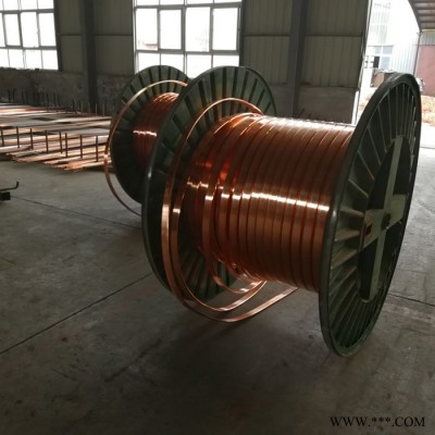 金亞特現(xiàn)貨T2紫銅卷排4*30 -5*30-6*30電鍍導電紫銅排 鍍錫白銅排